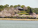 Gyeongpo Lake Cherry Blossoms